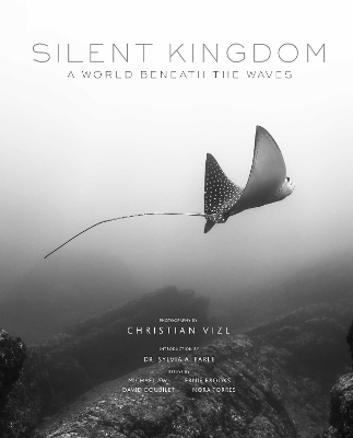 Book cover for Silent Kingdom