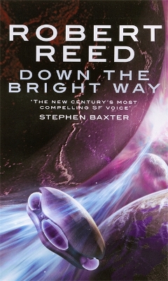 Book cover for Down The Bright Way