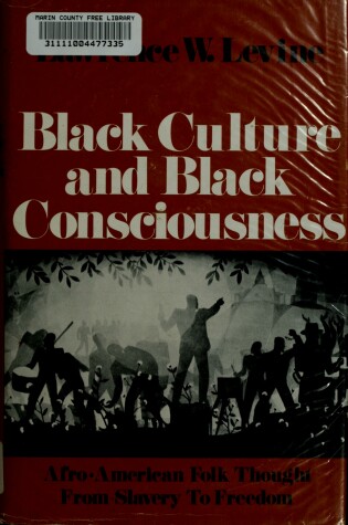 Cover of Black Culture and Black Consciousness