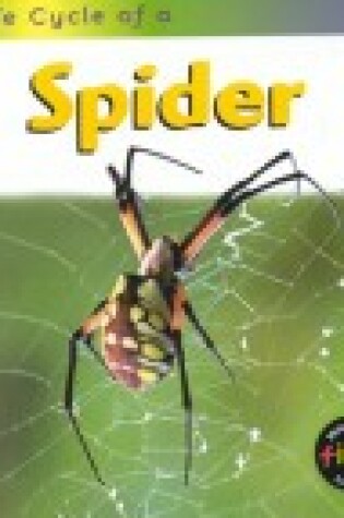 Cover of Spider