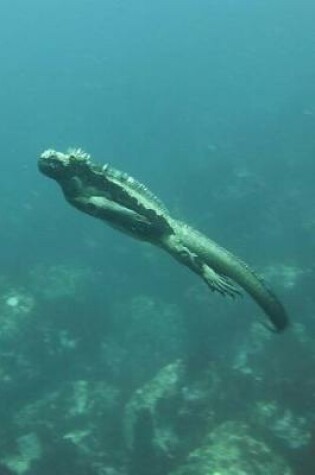 Cover of Marine Iguana Swimming on a Deep Dive Journal