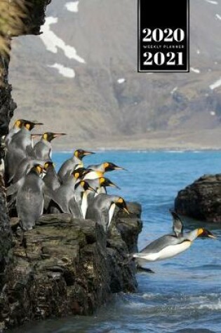 Cover of Penguin Puffin Antarctica Seabird Week Planner Weekly Organizer Calendar 2020 / 2021 - Cliff Dive