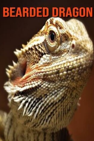 Cover of Bearded Dragon