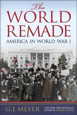 Book cover for The World Remade