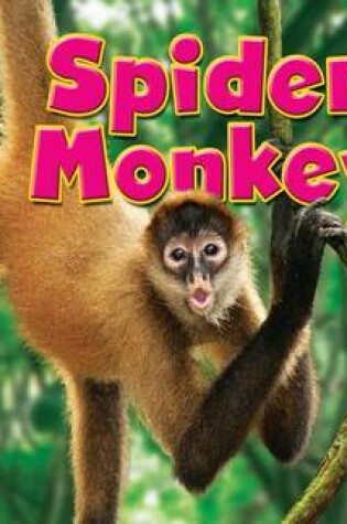 Cover of Spider Monkey