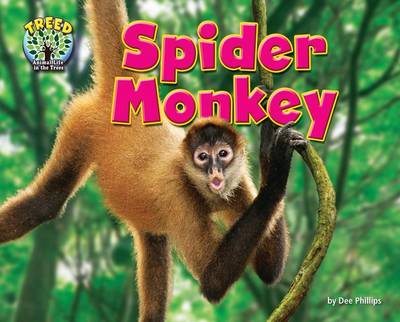 Cover of Spider Monkey