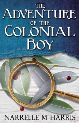 Book cover for The Adventure of the Colonial Boy
