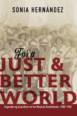 Book cover for For a Just and Better World