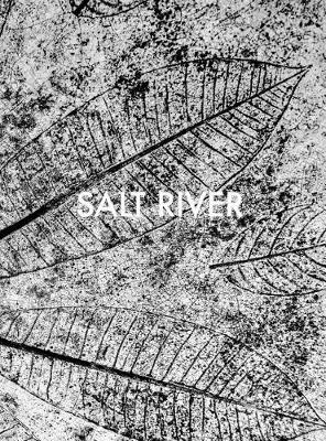 Book cover for Sebastian Posingis: Salt River