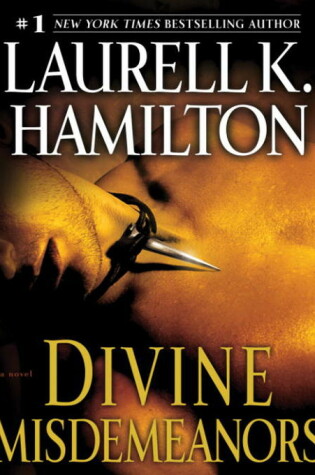 Cover of Divine Misdemeanors