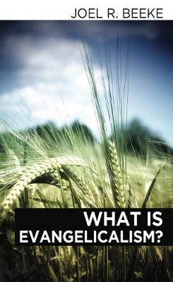 Book cover for What Is Evangelicalism?