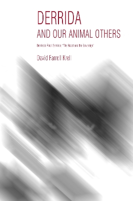 Book cover for Derrida and Our Animal Others