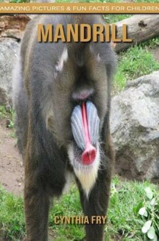 Cover of Mandrill