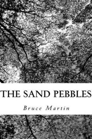 Cover of The sand pebbles