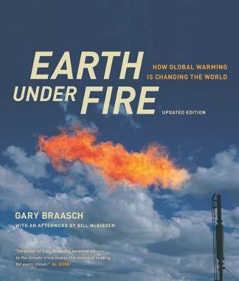 Book cover for Earth under Fire