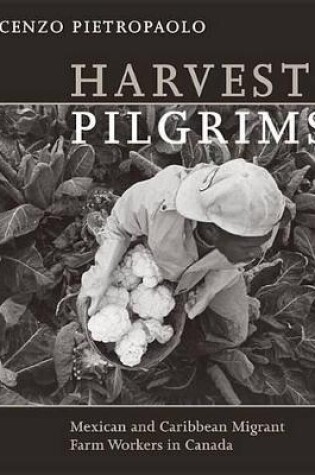 Cover of Harvest Pilgrims