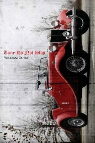 Cover of Time Do Not Stop