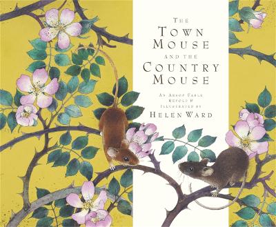 Book cover for Town Mouse and Country Mouse