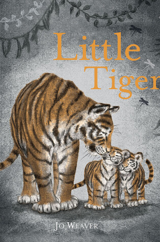 Cover of Little Tigers