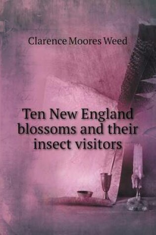 Cover of Ten New England blossoms and their insect visitors