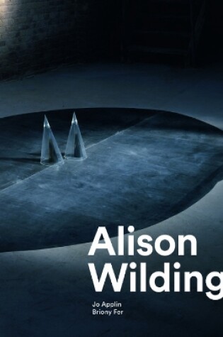 Cover of Alison Wilding