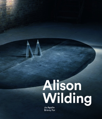 Book cover for Alison Wilding