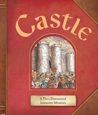 Book cover for Castle