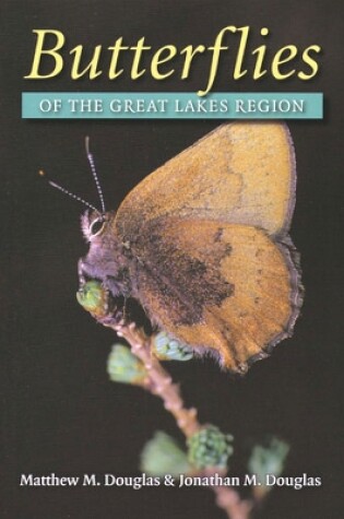 Cover of Butterflies of the Great Lakes Region