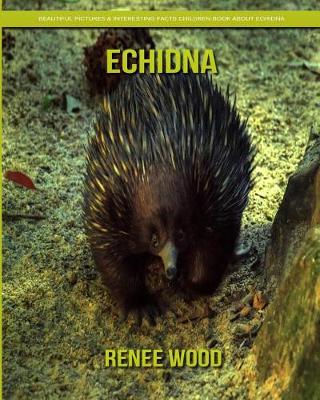 Book cover for Echidna