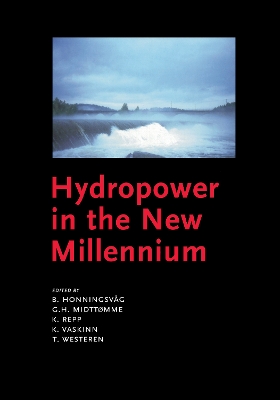 Cover of Hydropower in the New Millennium
