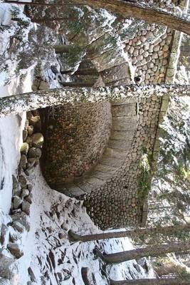 Book cover for A Cobblestone Bridge in Acadia National Park, Maine