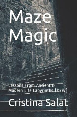 Cover of Maze Magic