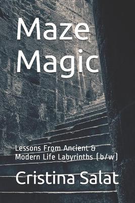 Book cover for Maze Magic