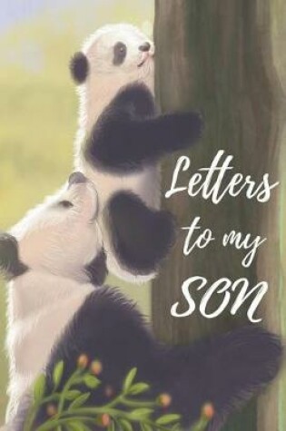 Cover of Letters To My Son