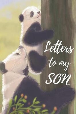 Book cover for Letters To My Son