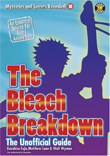 Book cover for The Bleach Breakdown