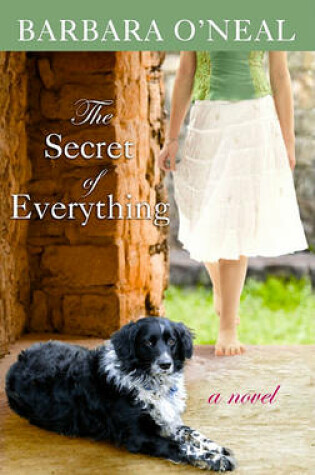 Cover of The Secret of Everything