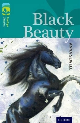 Cover of Oxford Reading Tree TreeTops Classics: Level 16: Black Beauty