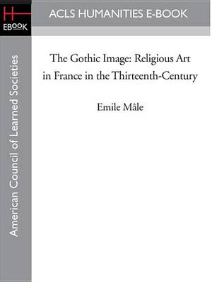 Book cover for The Gothic Image