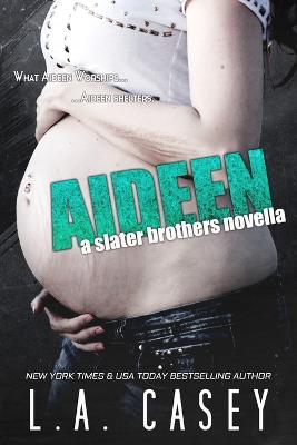 Book cover for Aideen