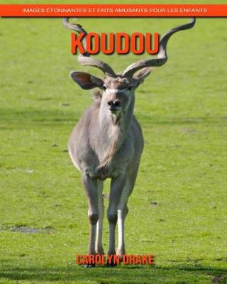 Book cover for Koudou