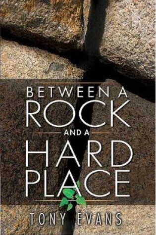 Cover of Between A Rock And A Hard Place