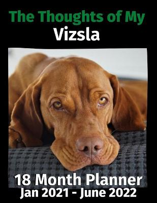 Book cover for The Thoughts of My Vizsla