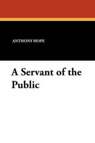 Cover of A Servant of the Public