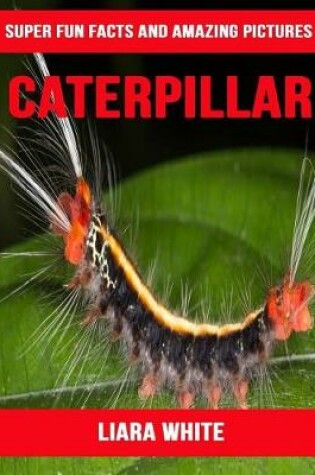 Cover of Caterpillar