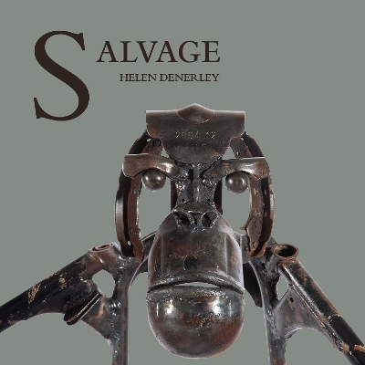 Book cover for Salvage