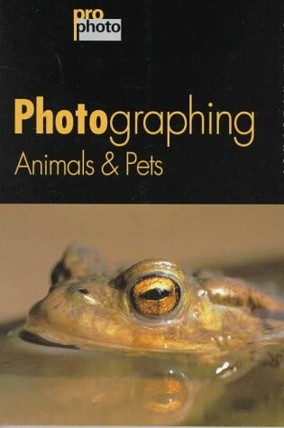 Cover of Photographing Animals and Pets