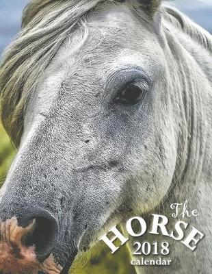 Book cover for The Horse 2018 Calendar (UK Edition)