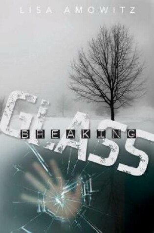 Cover of Breaking Glass