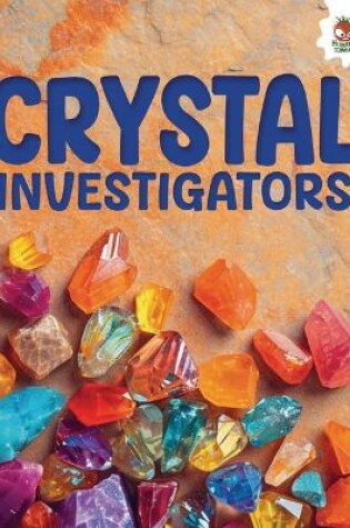 Cover of Crystal Investigators